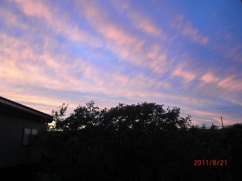 20110821-4