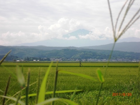 20110820