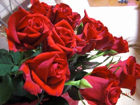 20110401