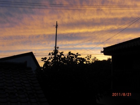 20110821-6