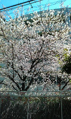 201104071057001