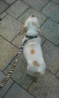 201102051733000