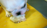 201004300411000