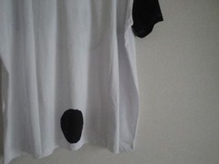 DSC03731