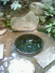 201109281431000