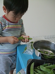 s-2009_08 241