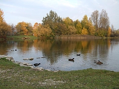 20091029