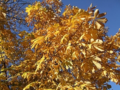 200911053