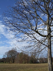 20091117