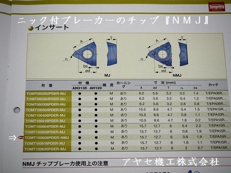 タンガロイ祭り・タングトライ (8)