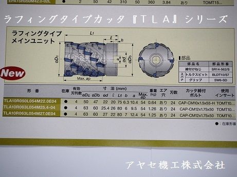 タンガロイ祭り・タングトライ (9)