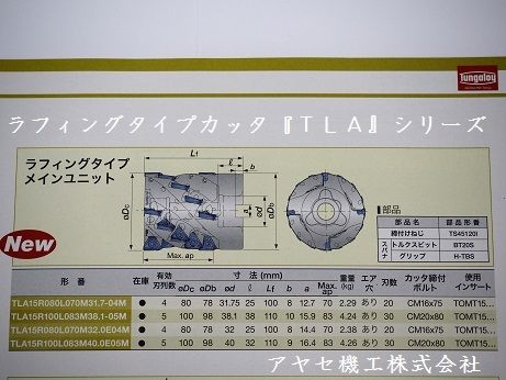 タンガロイ祭り・タングトライ (10)