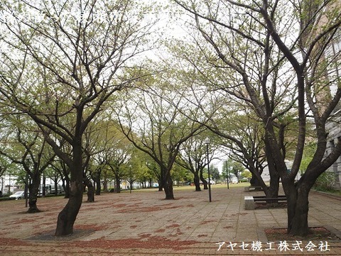 綾瀬市役所2016 (4)