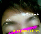 01b5364c.jpg