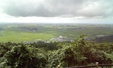 大森山1