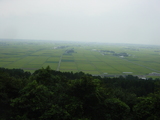 大森山2