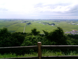 大森山の展望台から見える風景。