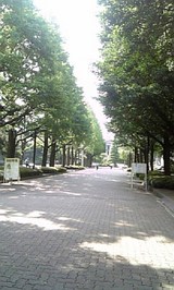 青学
