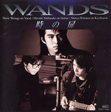 WANDS
