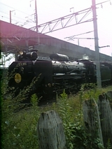 b124a601.jpg