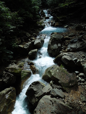 DSCN5891