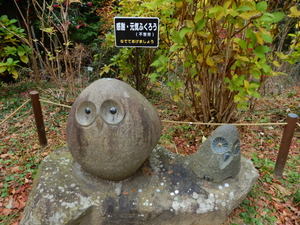 DSCN7178
