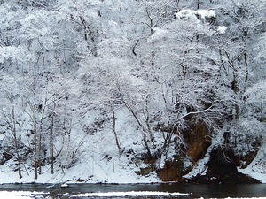 2016.1.30の朝