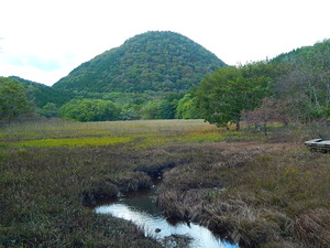 秋の大沼の新湯富士