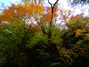 DSCN8247