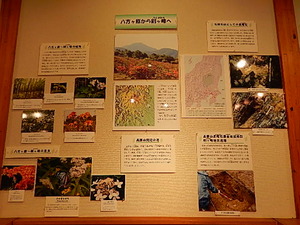 栃木県県民の森森林展示館