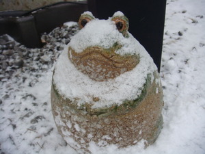 ふわふわ雪をかぶった蛙