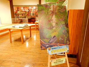 ビジターセンター夏期特別展