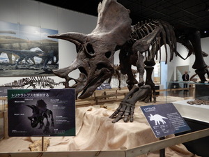 那須野が原博物館大恐竜展