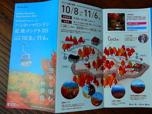 紅葉ゴンドラ