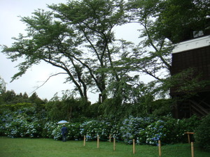 黒羽城跡公園