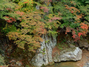 DSCN7794