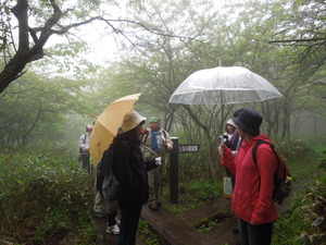 霧雨の中・・・