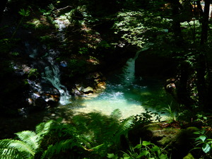 仁三郎の滝へ