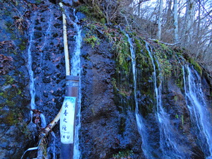 長寿の滝の水を汲みに