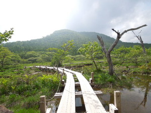 木道を行く