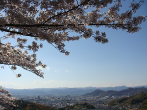満開の桜と福島の山並み