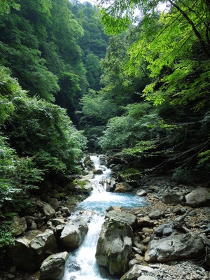 DSCN5892