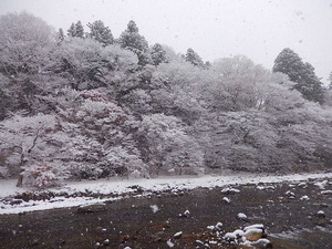 11/24̐iF
