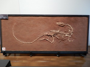 那須野が原博物館大恐竜展