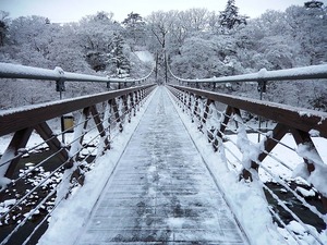 2016.1.30の朝