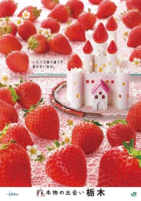 本物の出会い栃木キャンペーン2016