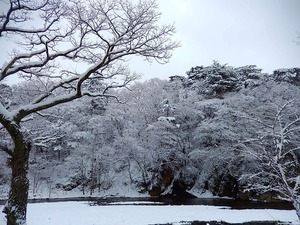 2016.1.30の朝
