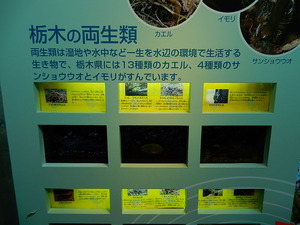 なかがわ水遊園