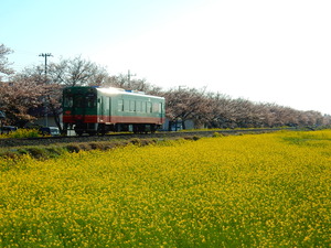 真岡鉄道