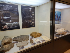 那須野が原博物館大恐竜展